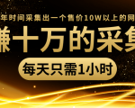 年赚十万的采集站,每天却只需要1小时,一年时间采集出一个售价10W以上的网站-网络创业副业兼职学习网