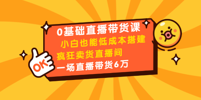0基础直播带货课：小白也能低成本搭建疯狂卖货直播间：1场直播带货6万-网络创业副业兼职学习网