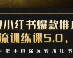 小红书爆款推广引流训练课5.0,手把手带你玩转小红书(17节实操视频+话术)-网络创业副业兼职学习网