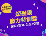 零基础小白进阶到大神《短视频魔力特训营》定位-运营-引流-变现-网络创业副业兼职学习网