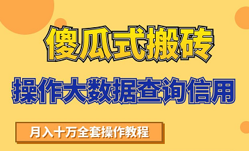 搬砖操作大数据查询信用项目赚钱教程,祝你快速月入6万-网络创业副业兼职学习网