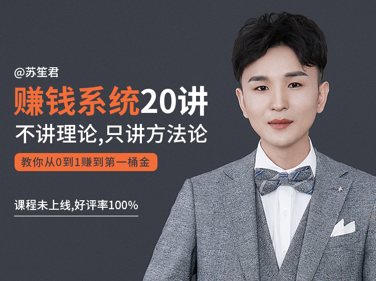 苏笙君的赚钱系统20课 教你从0到1赚到你的第一桶金（不讲理论，只讲方法论）-网络创业副业兼职学习网