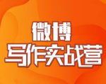 村西边老王·微博超级写作实战营，帮助你粉丝猛涨价值999元-网络创业副业兼职学习网