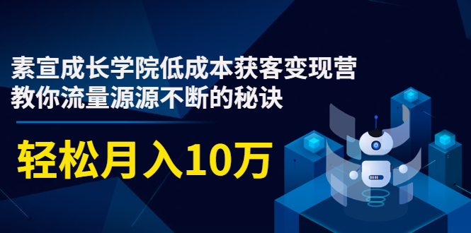 素宣成长学院低成本获客变现营，教你流量源源不断的秘诀，轻松月入10万-网络创业副业兼职学习网