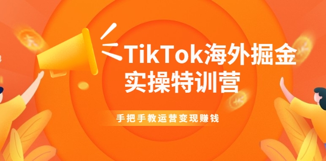 TikTok海外掘金实操特训营：手把手教运营变现赚钱-网络创业副业兼职学习网