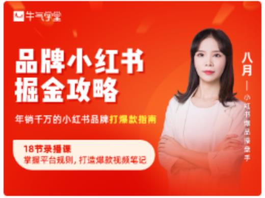 品牌小红书掘金攻略,年销千万的小红书品牌打爆款指南-网络创业副业兼职学习网