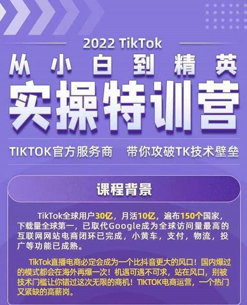 Seven漆·2022Tiktok从小白到精英实操特训营，带你掌握Tiktok账号运营-网络创业副业兼职学习网