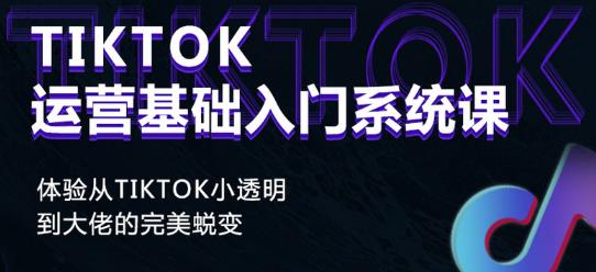 Tiktok实操进阶课程，体验从tiktok小透明到大佬的完美蜕变-网络创业副业兼职学习网
