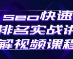 seo快速排名实战讲解视频课程,揭秘seo快排原理-网络创业副业兼职学习网