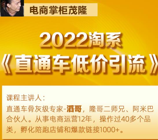 茂隆2022直通车低价引流玩法，教大家如何低投入高回报的直通车玩法-网络创业副业兼职学习网