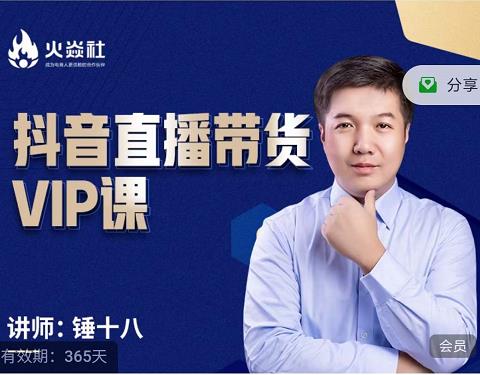 锤十八-抖音直播带货VIP课，专注直播带货有效盈利模式-网络创业副业兼职学习网