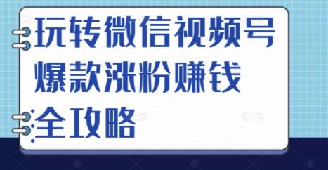 玩转微信视频号爆款涨粉赚钱全攻略，让你快速抓住流量风口，收获红利财富-网络创业副业兼职学习网