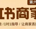 贾真-小红书商家营第6期商家版,21天带货陪跑课,让商家丢掉付流量-网络创业副业兼职学习网