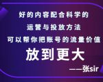 张sir账号流量增长课，告别海王流量，让你的流量更精准-网络创业副业兼职学习网