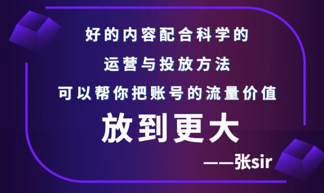 张sir账号流量增长课,告别海王流量,让你的流量更精准-网络创业副业兼职学习网