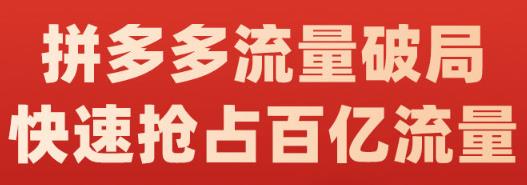 阿杰·拼多多流量破局:如何打黑标，爆款的思路，拼多多流量框架，快速抢占百亿流量-网络创业副业兼职学习网
