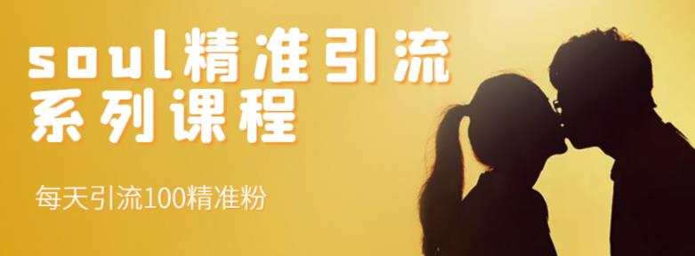 soul精准引流系列课程,每天引流100精准粉-网络创业副业兼职学习网