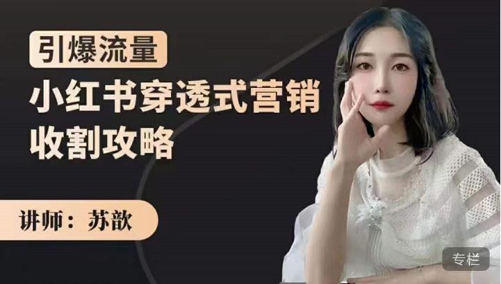 苏歆：小红书穿透式营销收割攻略，引爆流量，助你玩转小红书-网络创业副业兼职学习网