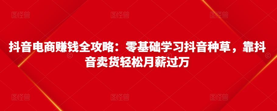抖音电商赚钱全攻略:零基础学习抖音种草,靠抖音卖货轻松月薪过万-网络创业副业兼职学习网