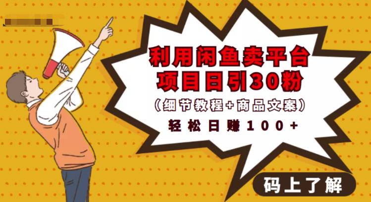 利用闲鱼卖平台项目课程资源日引流30+精准粉丝,轻松日赚100+,积累人脉可实现二次变-网络创业副业兼职学习网