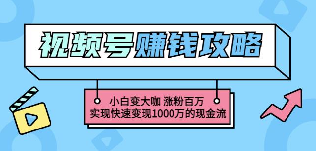 玩转微信视频号赚钱:小白变大咖涨粉百万实现快速变现1000万的现金流-网络创业副业兼职学习网