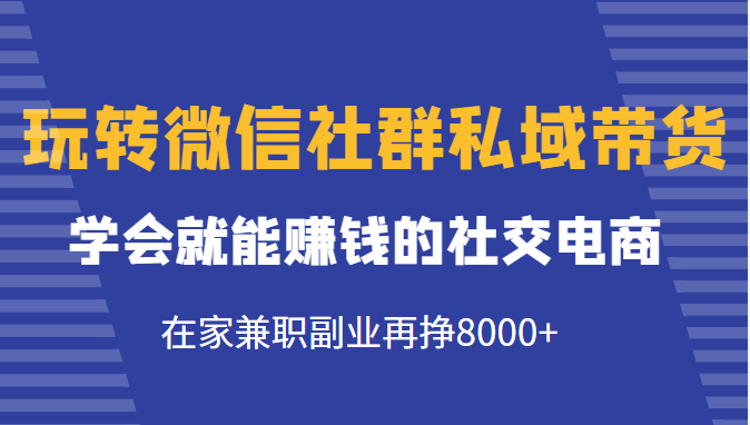 玩转微信社群私域带货，学会就能赚钱的社交电商，在家兼职副业再挣8000+-网络创业副业兼职学习网