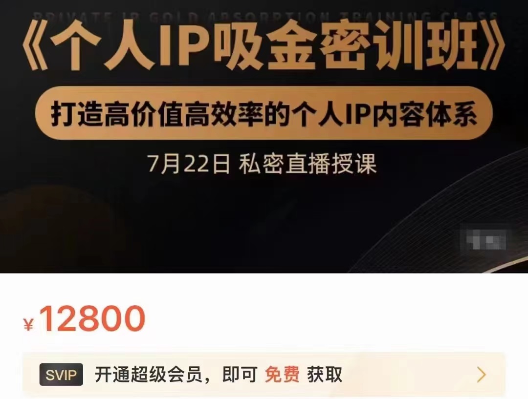个人IP吸金密训班，打造高价值高效率的个人IP内容体系（价值12800元）-网络创业副业兼职学习网