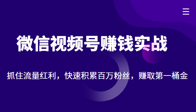 微信视频号赚钱实战：抓住流量红利，快速积累百万粉丝，赚取你的第一桶金-网络创业副业兼职学习网