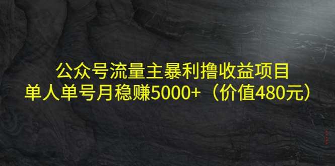 公众号流量主暴利撸收益项目,单人单号月稳赚5000+(价值480元)-网络创业副业兼职学习网