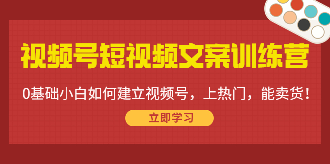 视频号短视频文案训练营：0基础小白如何建立视频号，上热门，能卖货！-网络创业副业兼职学习网