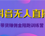 抖音无人直播带货赚佣金陪跑训练营(价值6980元)-网络创业副业兼职学习网