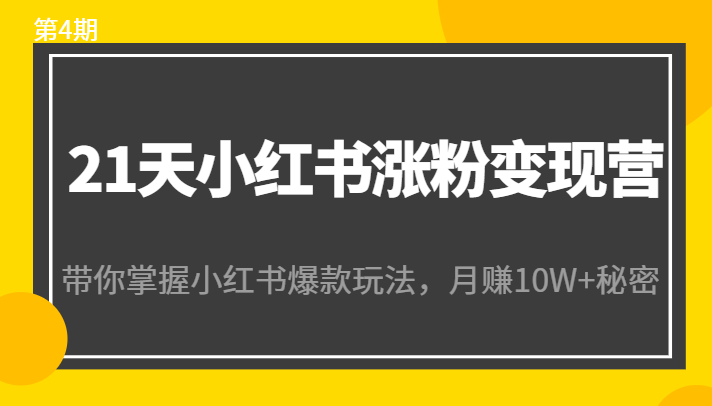 21天小红书涨粉变现营(第4期):带你掌握小红书爆款玩法,月赚10W+秘密-网络创业副业兼职学习网