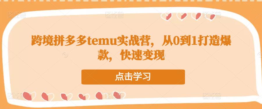 跨境拼多多temu实战营,从0到1打造爆款,快速变现-网络创业副业兼职学习网