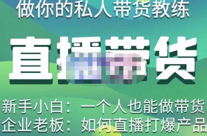硬核传媒·直播带货（私人教练），实操实战教学，通俗易懂，学完后新手小白一个人也能做带货-网络创业副业兼职学习网