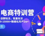 美团电商特训营:美团·店群玩法,无脑铺货月产出6000-15000+精细化月产2w+-网络创业副业兼职学习网