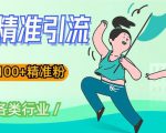 soul精准引流系列课程，一天引流100+精准粉，适合各类行业-网络创业副业兼职学习网