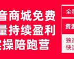 抖音商城搜索持续盈利陪跑成长营，抖音商城搜索从0-1、从1到10的全面解决方案-网络创业副业兼职学习网