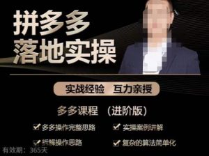 拼多多实战篇·落地实操：多多操作完整思路+实操案例讲解+拆解操作思路+复杂的算法简单化-网络创业副业兼职学习网