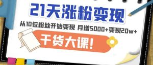 21天精准涨粉变现干货大课：从10位粉丝开始变现月增5000+变现20w+-网络创业副业兼职学习网