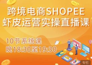 跨境电商Shopee虾皮运营实操直播课，从零开始学，入门到精通（10节系统课）-网络创业副业兼职学习网