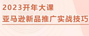 2023亚马逊新品推广实战技巧，线下百万美金课程的精简版，简单粗暴可复制，实操性强的推广手段-网络创业副业兼职学习网