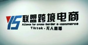 YS联盟·Tiktok无人直播，不出镜不剪辑不拍摄不发货无售后的跨境短视频躺赚玩法-网络创业副业兼职学习网