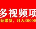 多多带货视频快速50爆款拿带货资格，搬运带货，月入30000【全套脚本+详细玩法】-网络创业副业兼职学习网