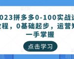 2023拼多多0-100实战运营教程，0基础起步，运营知识一手掌握-网络创业副业兼职学习网