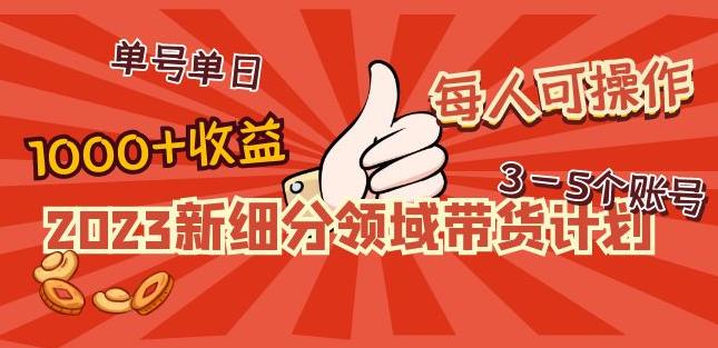 2023新细分领域带货计划：单号单日1000+收益不难，每人可操作3-5个账号-网络创业副业兼职学习网