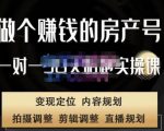刘广标·同城房产号线上陪跑课,拍摄、剪辑、写文案、直播,做一个具有潜力价值的房产号-网络创业副业兼职学习网