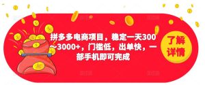 2023拼多多电商项目，稳定一天300～3000+，门槛低，出单快，一部手机即可完成-网络创业副业兼职学习网
