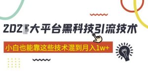大平台黑科技引流技术,小白也能靠这些技术混到月入1w+(2022年的课程)-网络创业副业兼职学习网