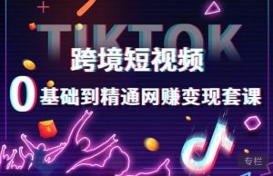 跨境短视频TIKTOK 0基础到精通网赚变现套课，跨境短视频独立站带货变现技巧-网络创业副业兼职学习网