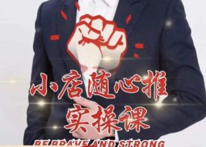 随心推线上课，小店随心推的投放逻辑，投放技巧，快速打标签-网络创业副业兼职学习网